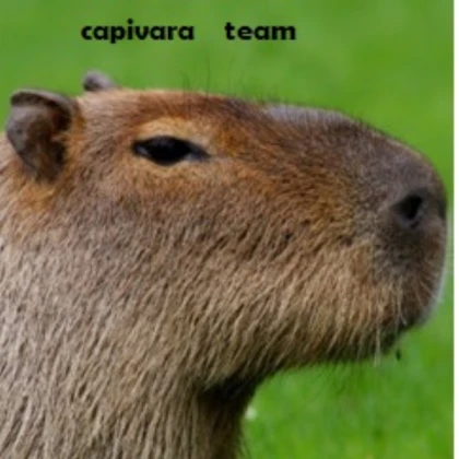 Capybara npc