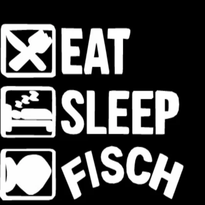 fisch user dialouge system