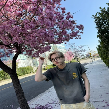 [🔥⚡] Sakura Flower Tree Plant Preppy Low Poly