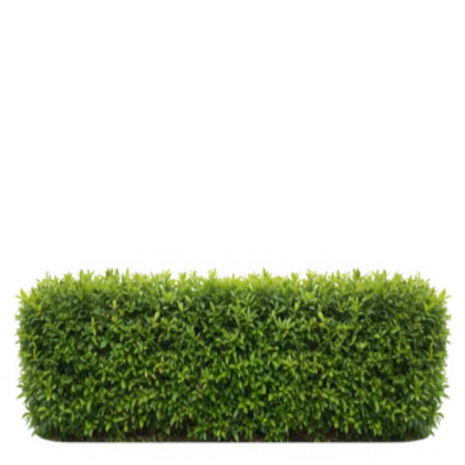 Long Hedge