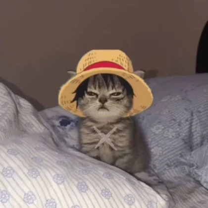 CAT potion