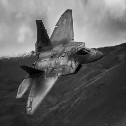 The Black Raptor