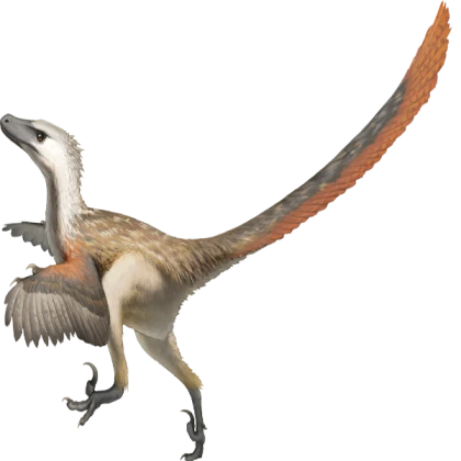 Velociraptor