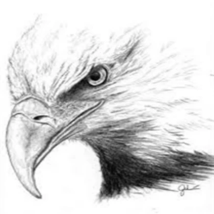 EAGLE POTION