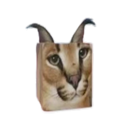 floppa npc