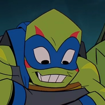 The Teenage Mutant Ninja Turtle