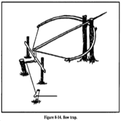 Bear Trap (Working)