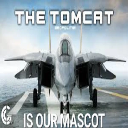 [NEW] F-14 Tomcat Fighter Jet Airplane Military R