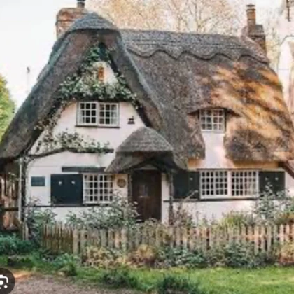 Village House [Unique]