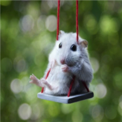Swing
