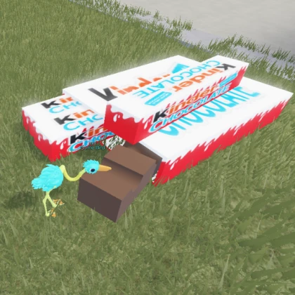Bird Kinder Box