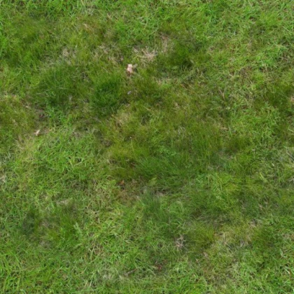 Realistic Grass