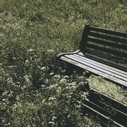 Wooden Bench