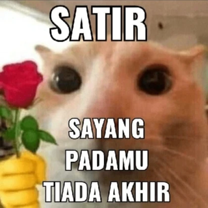 Hacker Ta Ta Ta Ta Sahur