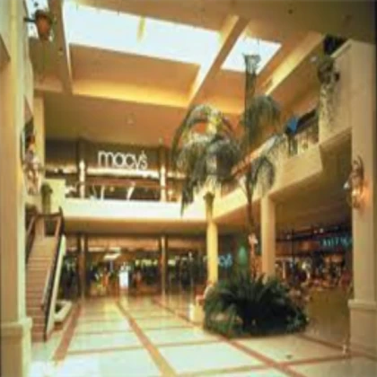 maxdini's Place