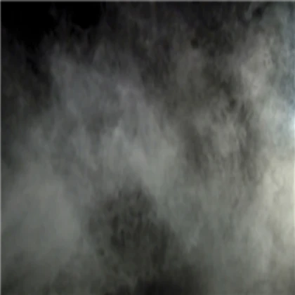 Bird ragdoll (Fog)
