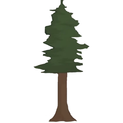 Forest tree