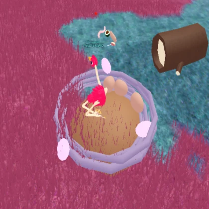 Bird Nest