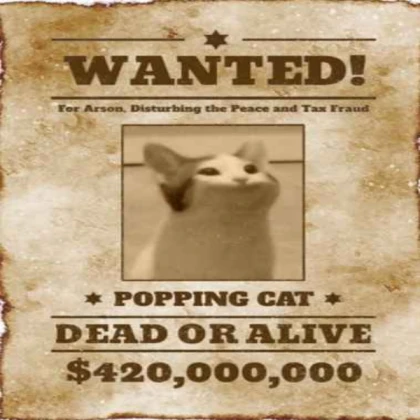 WANTED POP CAT