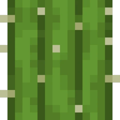 Cactus In Minecraft!