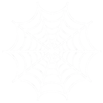 Spider Web