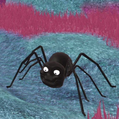 spider scoobis