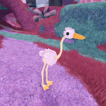 Bird ragdoll that you can eat