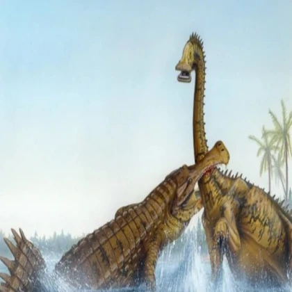Sarcosuchus