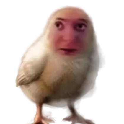 chicken NPC