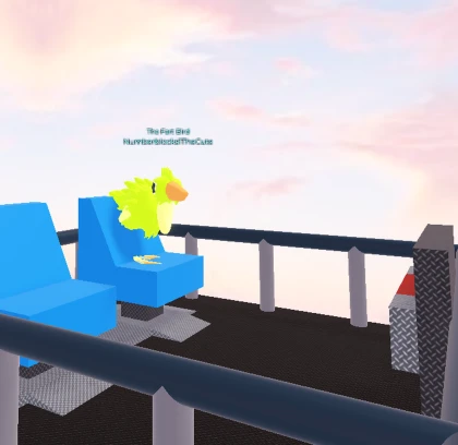 BIRD Skycar