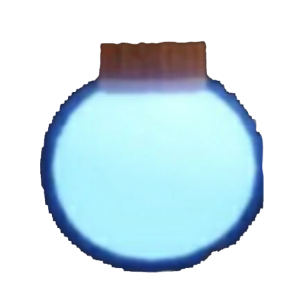 Shield Potion