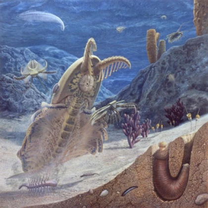sea floor
