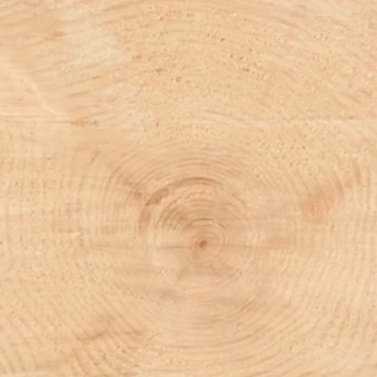 Tresaure Sawn Off