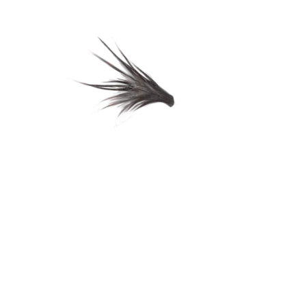 Realistic Bird Flying Feather Nature Wings RP
