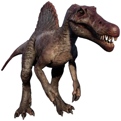 Jp3 spino npc