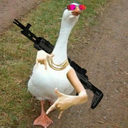 Goose epikg goose