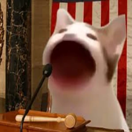 Speaking NPC Cat