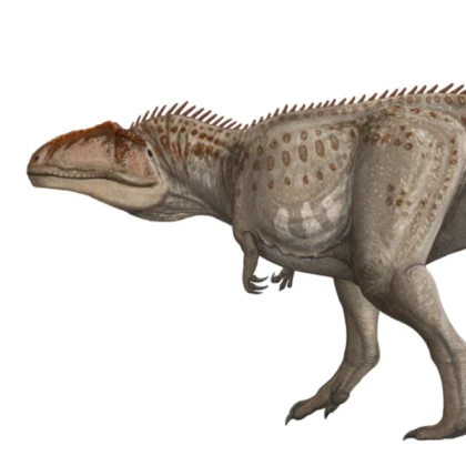 Giganotosaurus npc