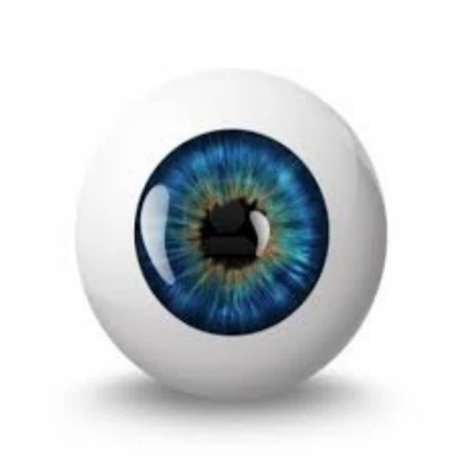eyeball