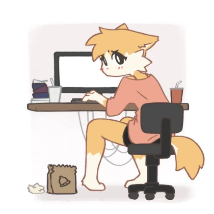 Computer Desk