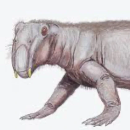 lystrosaurus