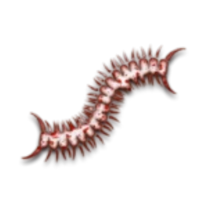burrowing worm
