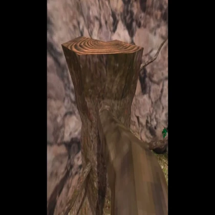 Tree log facing up