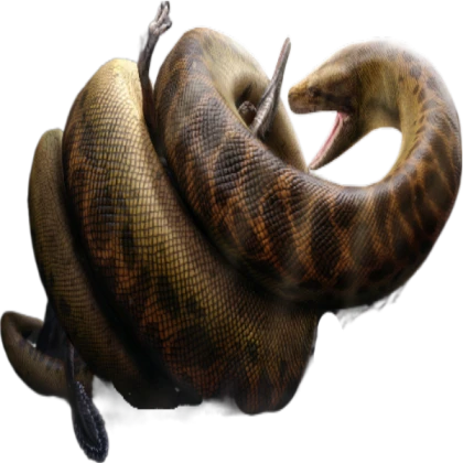 BIRD Titanoboa