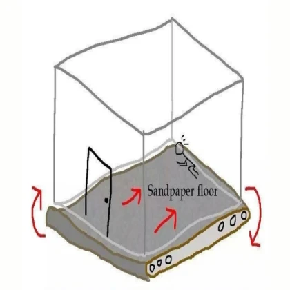 Sandking Enclosure