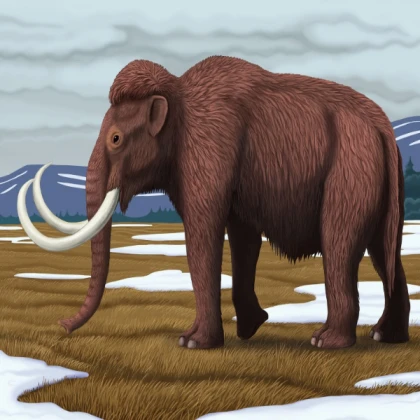 Columbian Mammoth NPC