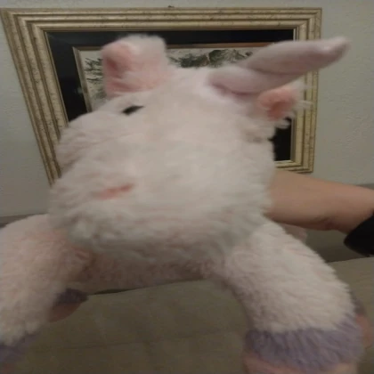 Cute animal 