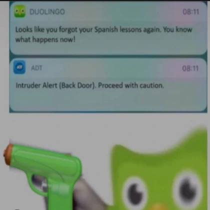 Duolingo working