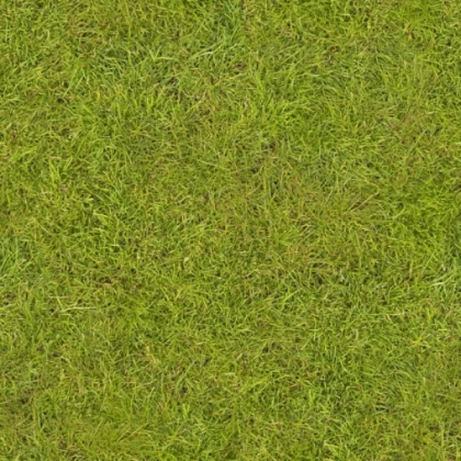 grass
