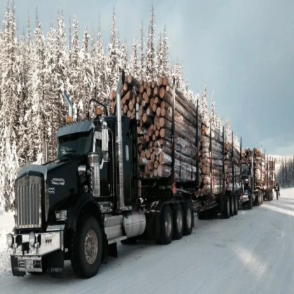 logging truck of russia Cars Big Rig Drivable Semi